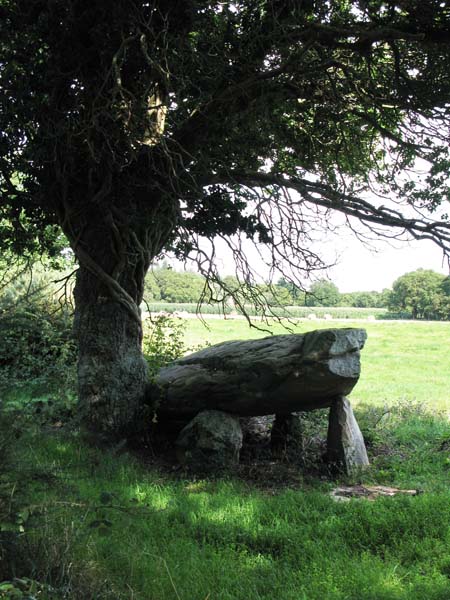 Dolmen de Co&euml;t Courzo